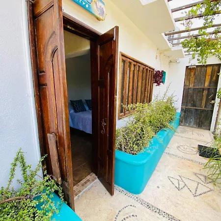 Cabo Bohemia Tropical Garden Studios Cabo San Lucas Exterior foto