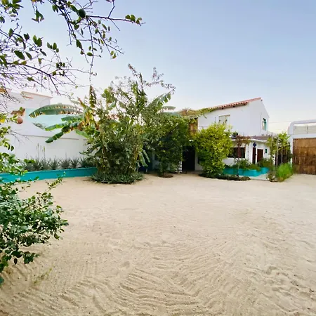 Cabo Bohemia Tropical Garden Studios Cabo San Lucas Exterior foto